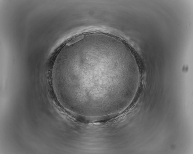 X0000091081496200708131243