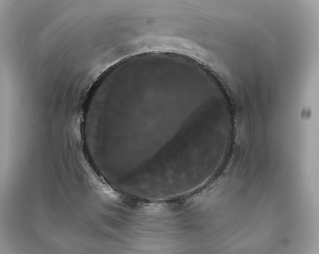 X0000091081497200708131243