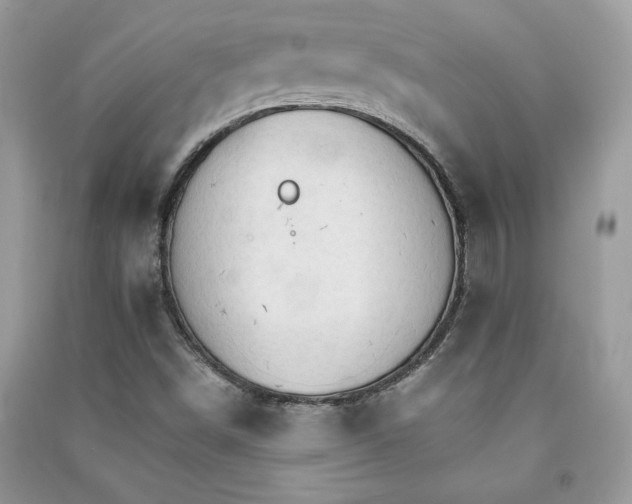 X0000091081498200708131243