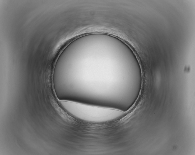 X0000091081499200708131243