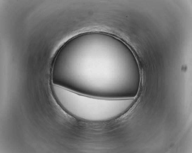 X0000091081500200708131243