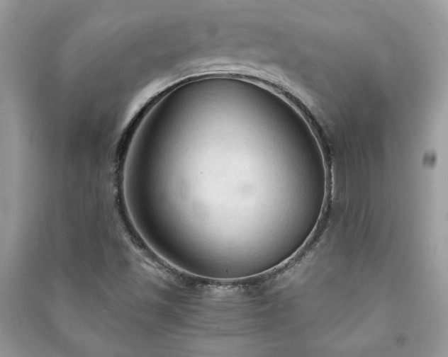 X0000091081501200708131243