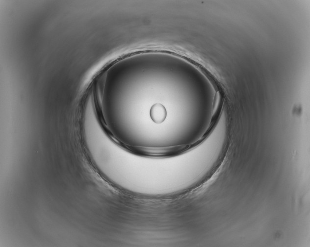 X0000091081502200708131243