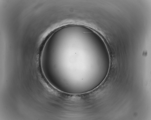 X0000091081503200708131243