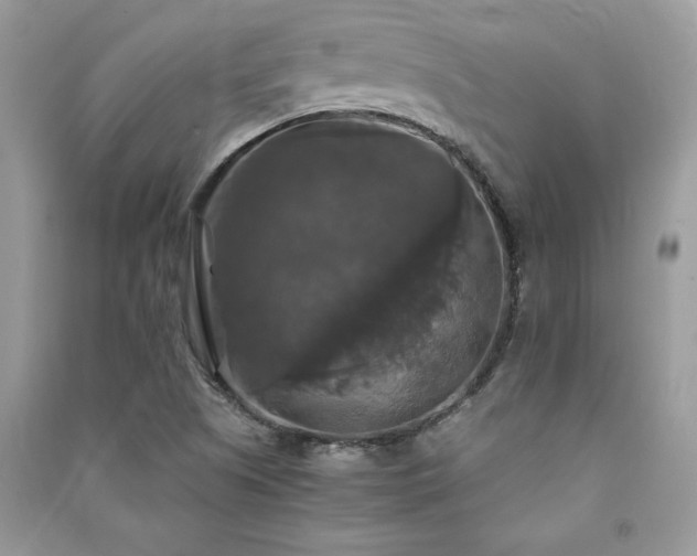 X0000091081505200708131243