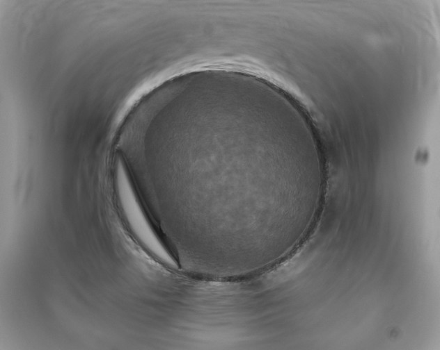 X0000091081506200708131243