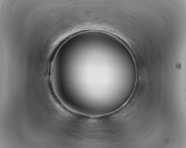 X0000091081507200708131243