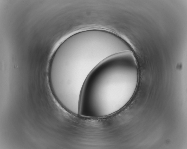 X0000091081508200708131243