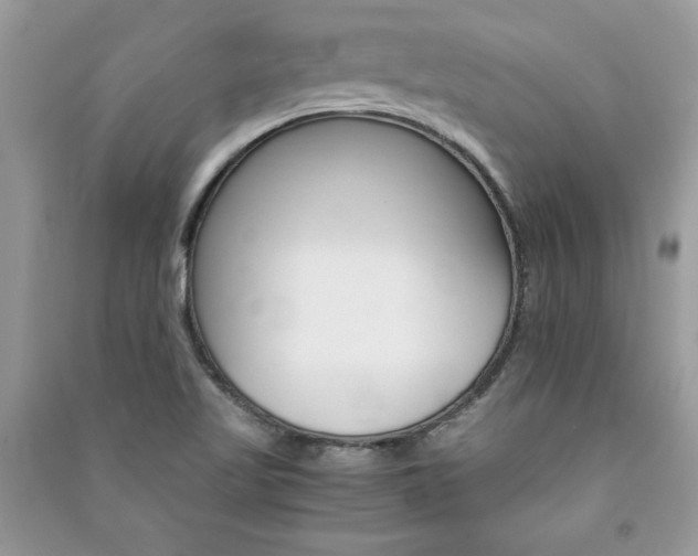 X0000091081509200708131243