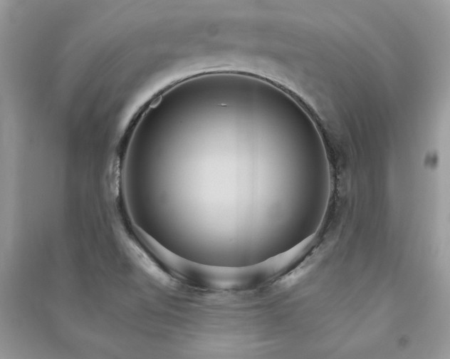 X0000091081510200708131243