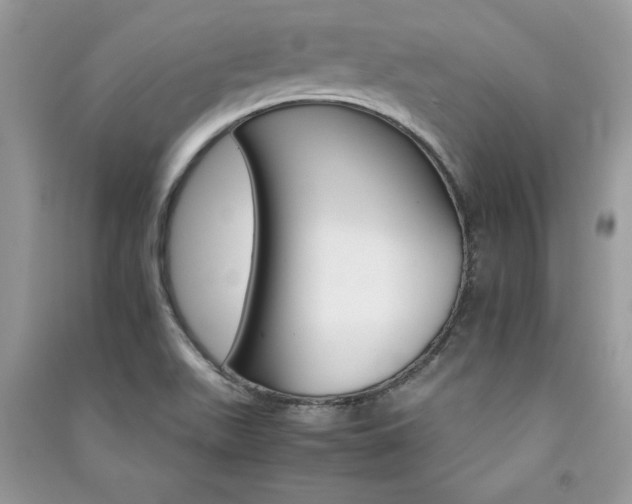 X0000091081511200708131243