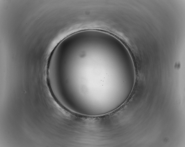 X0000091081512200708131244