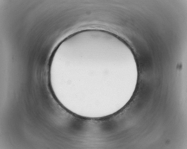 X0000091081514200708131244