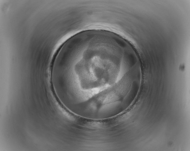 X0000091081517200708131244