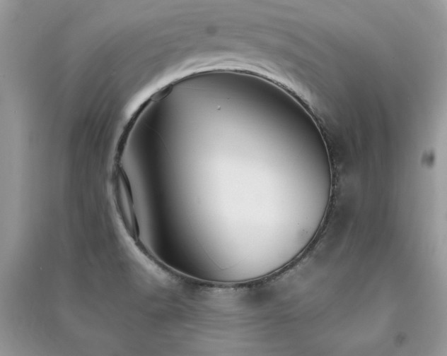 X0000091081518200708131244