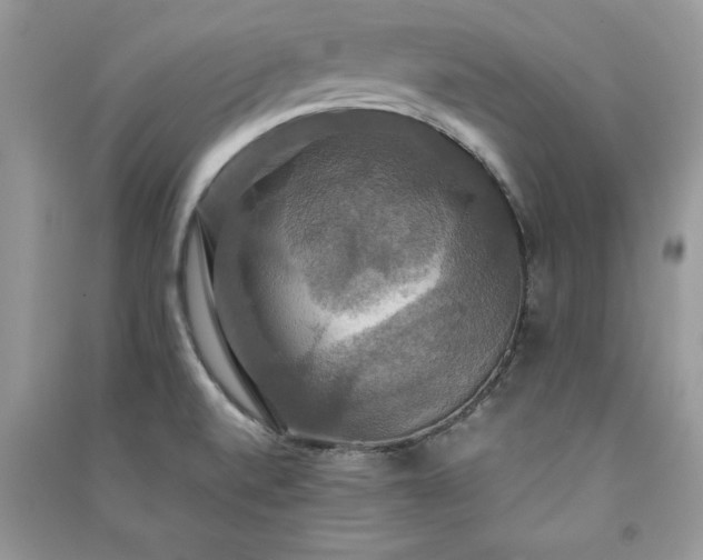 X0000091081520200708131244