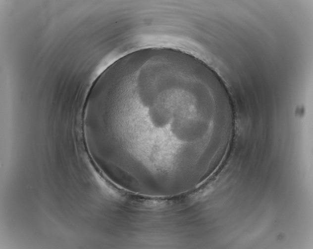 X0000091081521200708131244