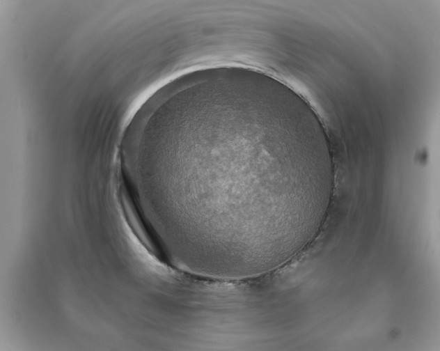 X0000091081524200708131244