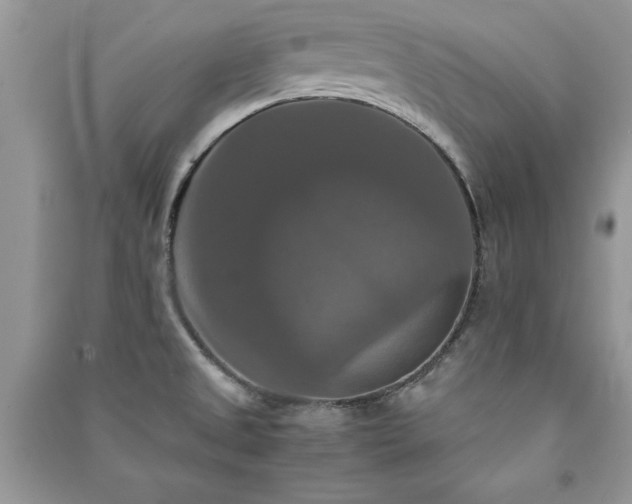 X0000091081525200708131244