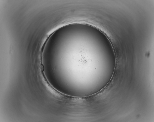 X0000091081526200708131244