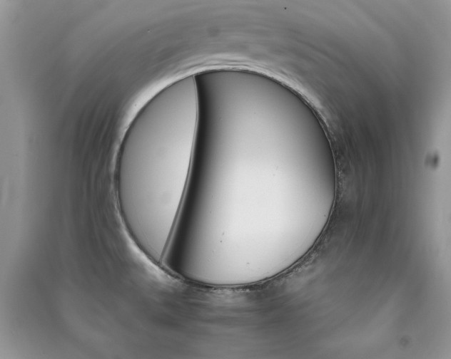 X0000091081527200708131244