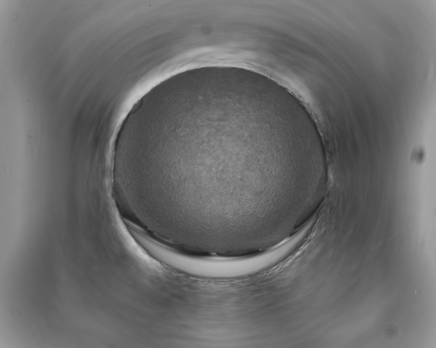 X0000091081528200708131244