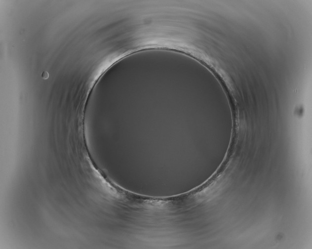 X0000091081529200708131244