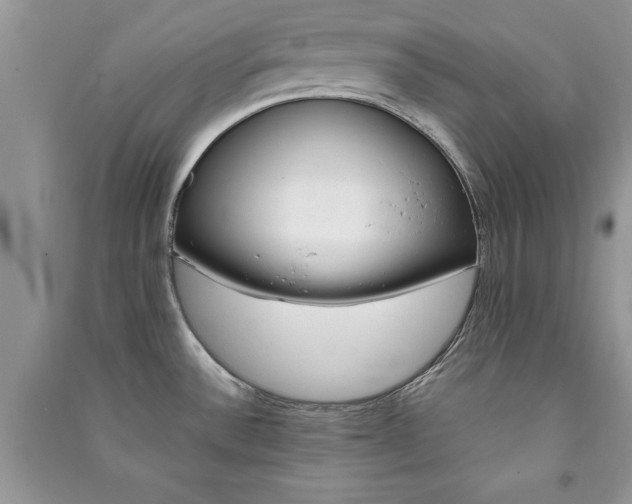 X0000091081532200708131244