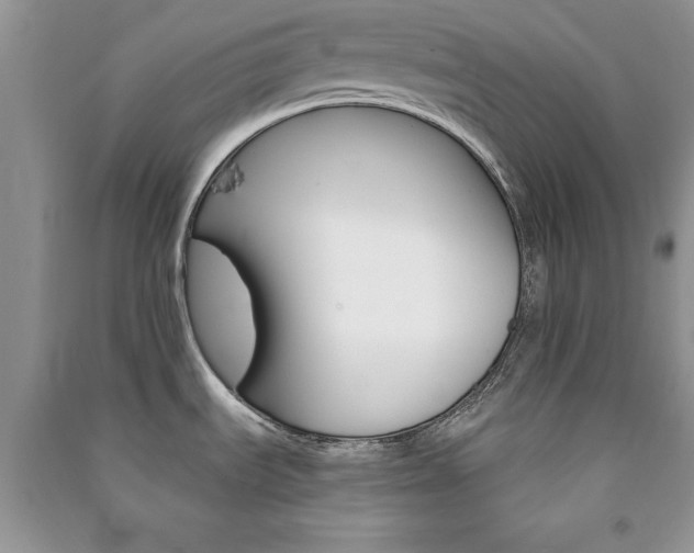 X0000091081535200708131244