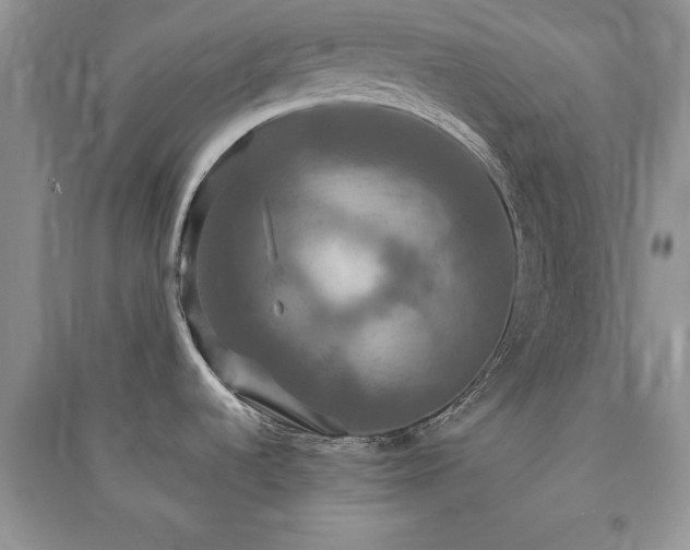 X0000091081536200708131244