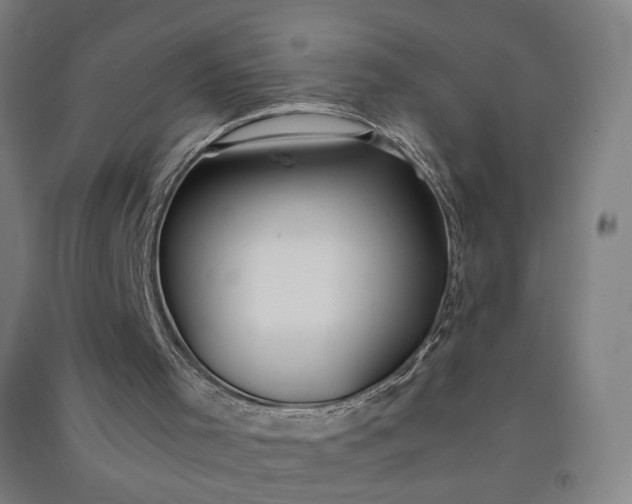 X0000091080001200708201445