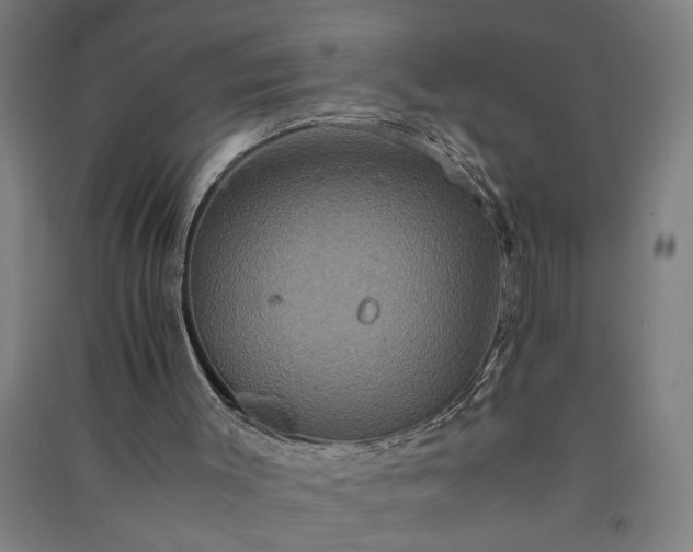 X0000091080003200708201445