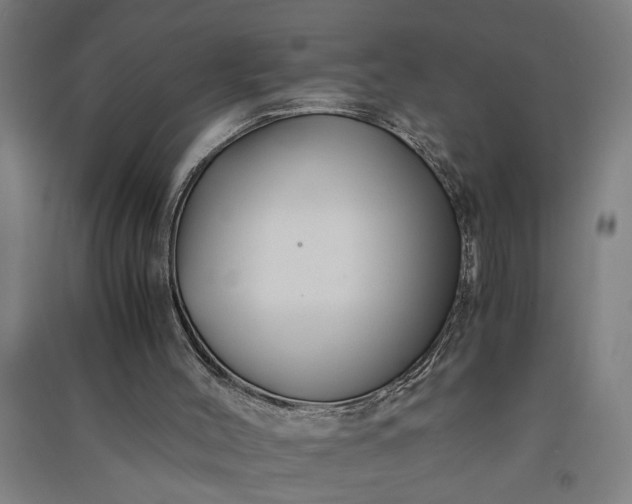 X0000091080004200708201445