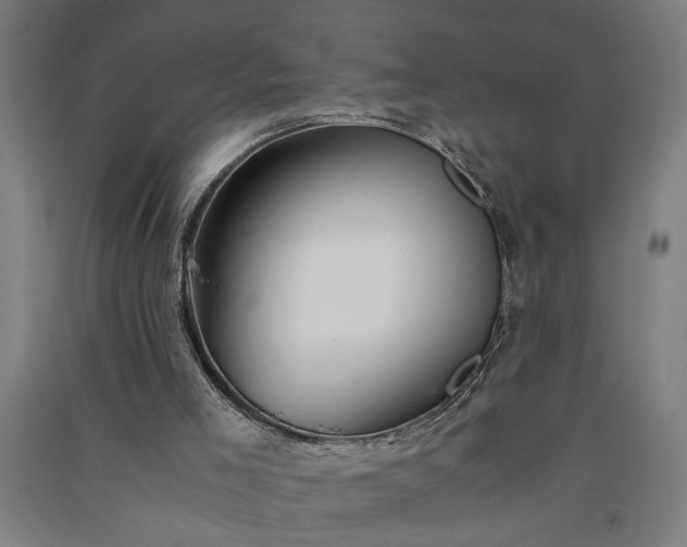 X0000091080005200708201445