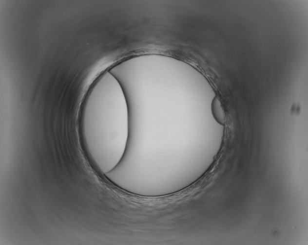 X0000091080006200708201445