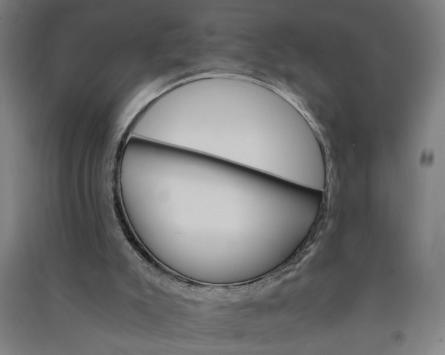 X0000091080007200708201445