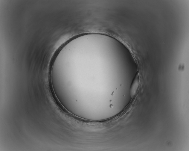 X0000091080008200708201445