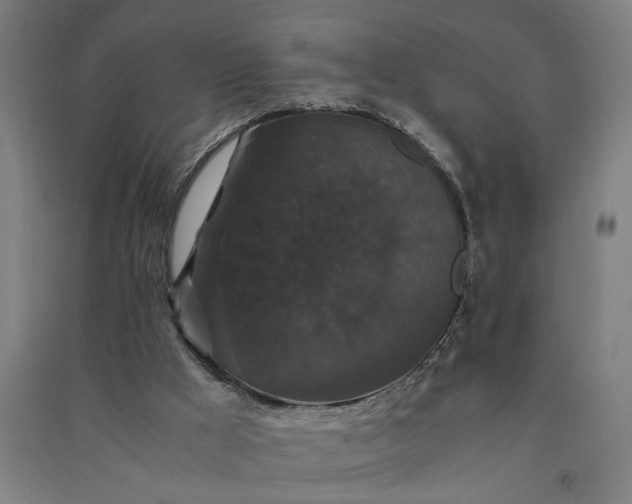 X0000091080009200708201445