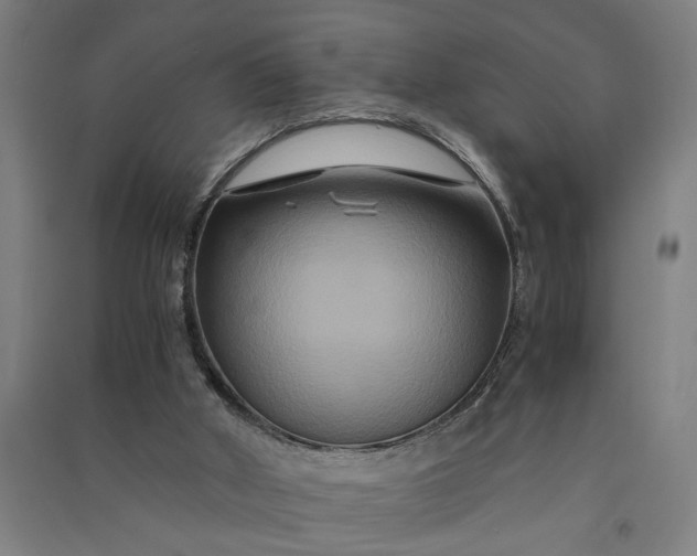 X0000091080010200708201445