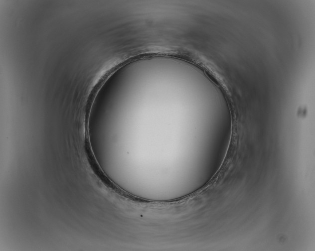 X0000091080011200708201445