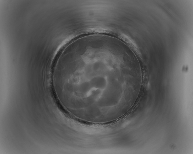 X0000091080012200708201445