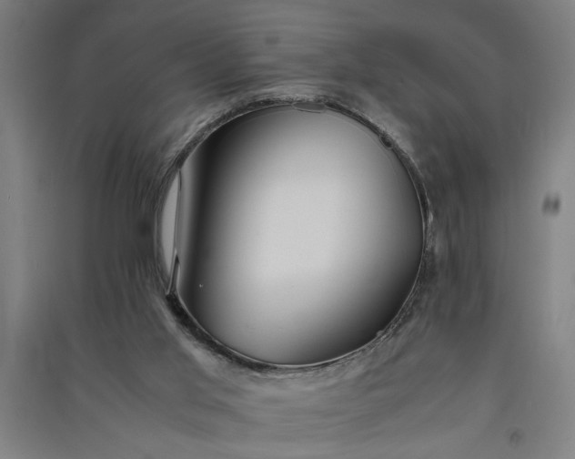 X0000091080013200708201445