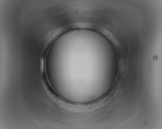 X0000091080014200708201445