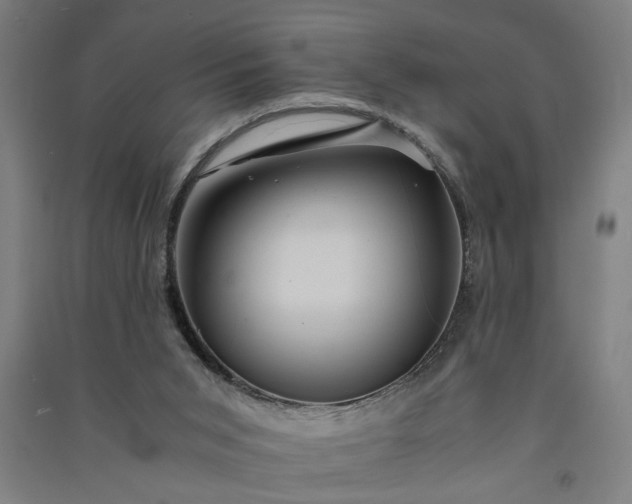 X0000091080015200708201445