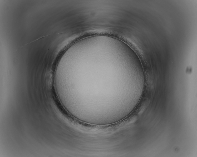 X0000091080016200708201445