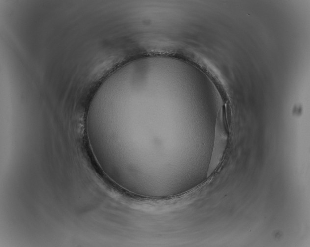 X0000091080017200708201445