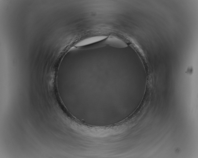 X0000091080018200708201445