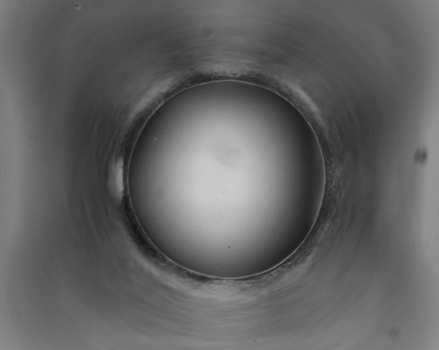 X0000091080020200708201445