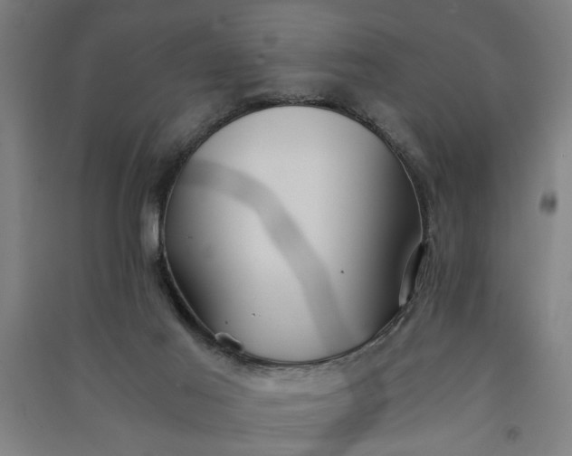 X0000091080021200708201445