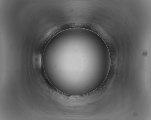 X0000091080022200708201445